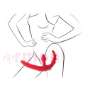 Anatomik Strapon Boğumlu ve Tapa Şeklinde Çift Uçlu Titreşimli Anatomik Strapon Boğumlu ve Tapa Şeklinde Çift Uçlu Titreşimli